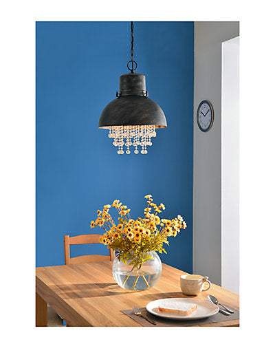  Home 1-Light Pendant