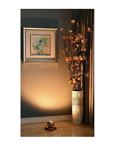  Spot Copper Spotlight Home