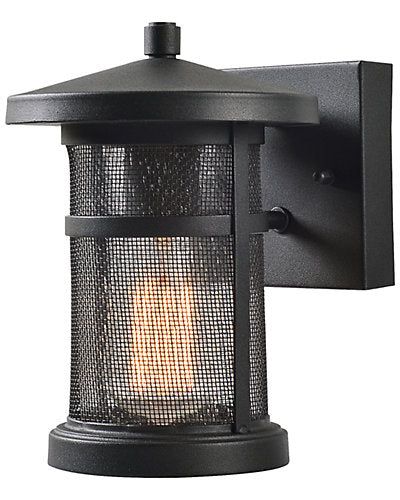  Carlson 1-Light Small Wall Lantern Home