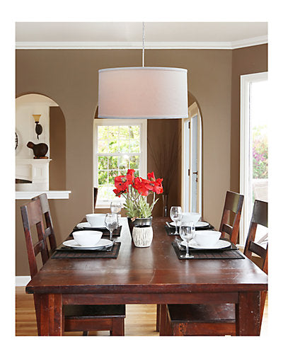  Paige 1-Light Pendant Home
